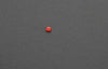 LEICA R RED DOT REPLACEMENT image 2