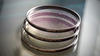 ARIA PEARL FILTERS - 77mm CIRCULAR
